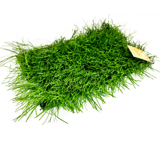 Искусственная трава Optigrass XWR 60 MF фото 