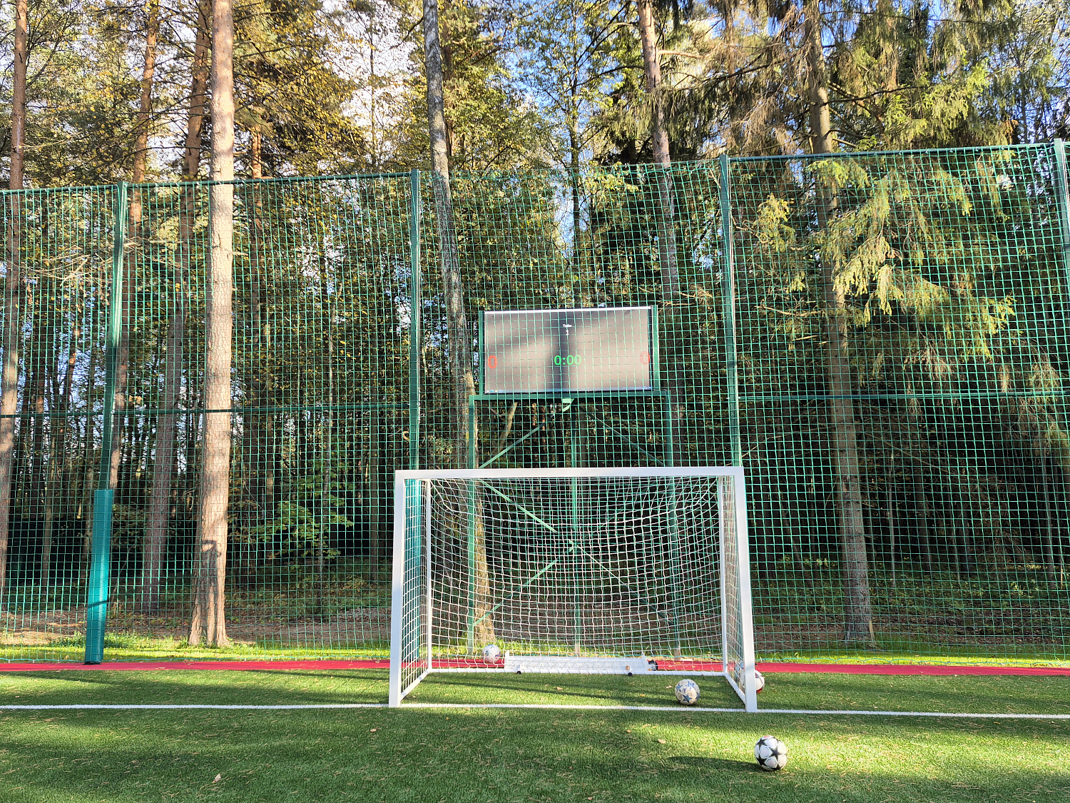 Мини-футбольный стадион, д. Прохорово, Чеховский р-н