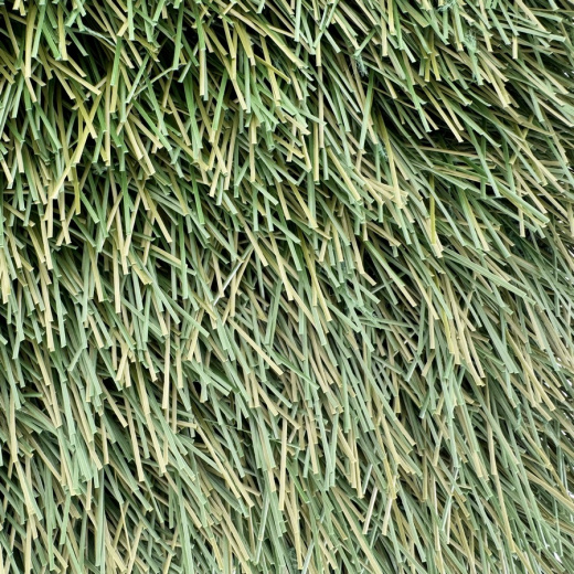 Искусственная трава FieldTurf XM7 50-14 фото 