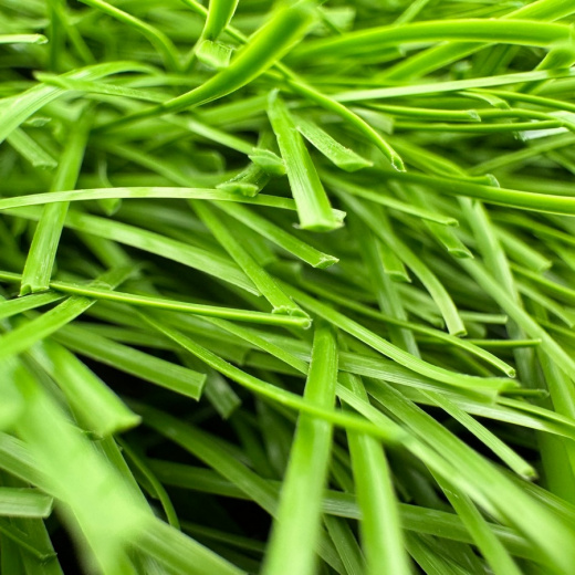 Искусственная трава Optigrass XWR 60 MF фото 