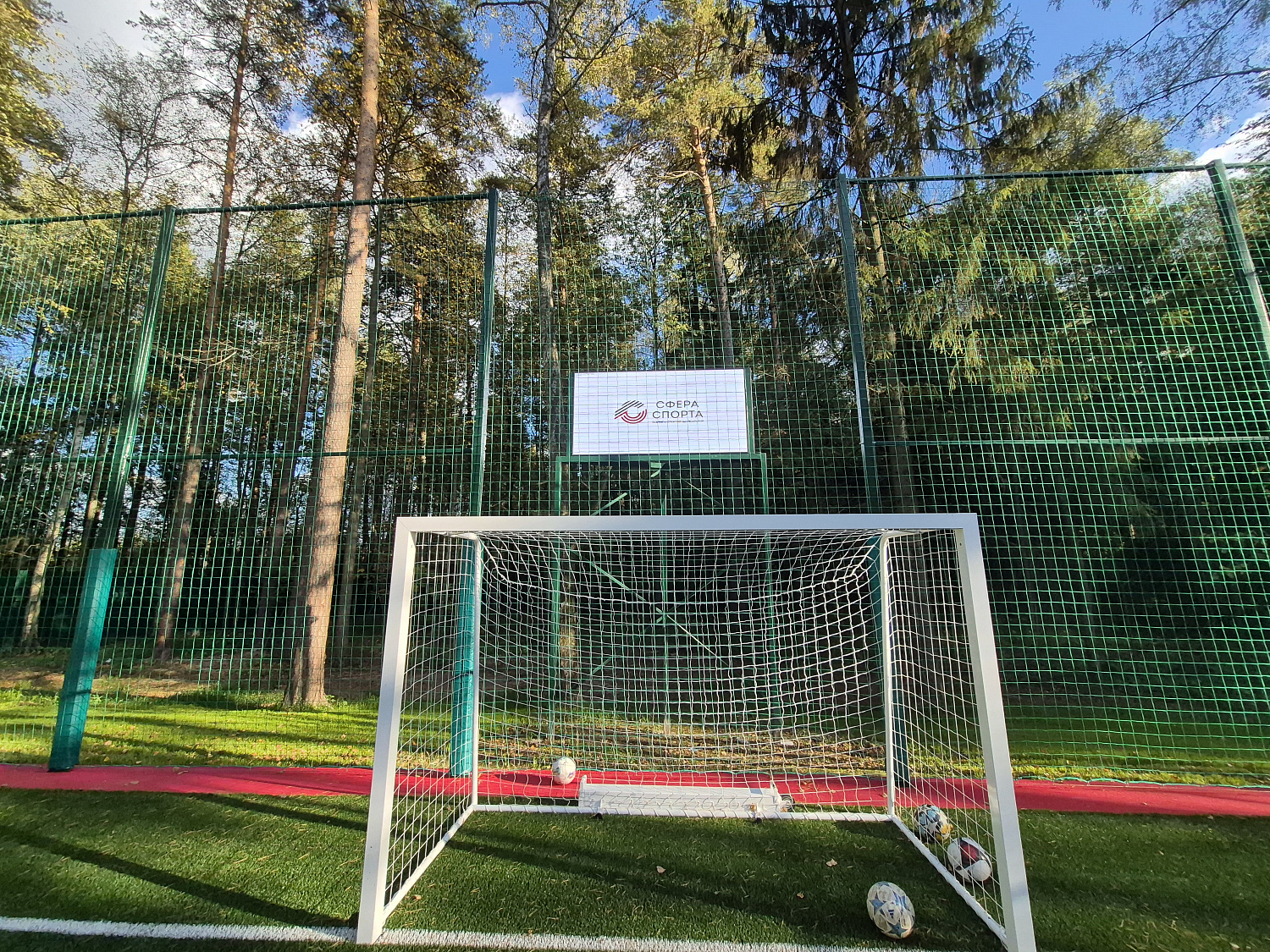 Мини-футбольный стадион, д. Прохорово, Чеховский р-н